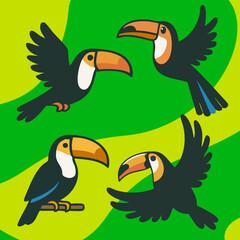 Bunte Tukan Vektorgrafik Collage mit vier tropischen Vögeln auf grünem Hintergrund