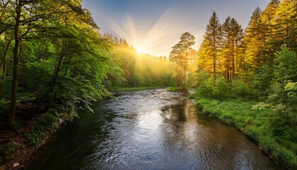 Obraz premium sunlight beams through dense green trees illuminating a calm river in a serene forest setting at golden hour