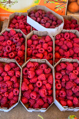 Fresh Raspberries in a Pile, Wide View
