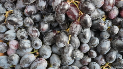 Close up of shiny dark purple grapes packed tightly