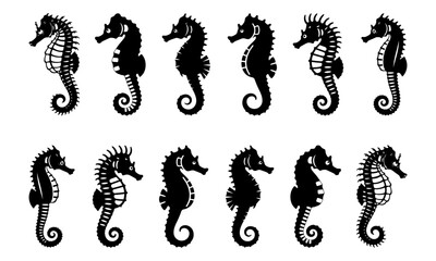 Vector art of a set of black seahorse silhouettes icon for design and decoration, isolated on a white background. © designworld24x7