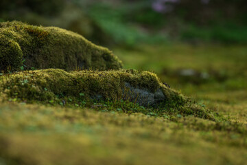 Garden sprinkler head with blurred flowers behind.