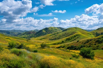 Naklejka premium Landscape with Rolling Hills and Wildflowers Under the Blue Sky