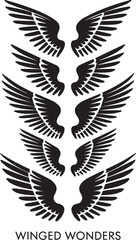 Fototapeta premium wings set silhouette vector minimal on white background