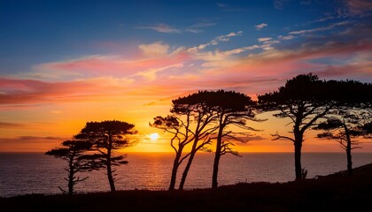 silhouetted trees at sunset a vivid coastal landscape