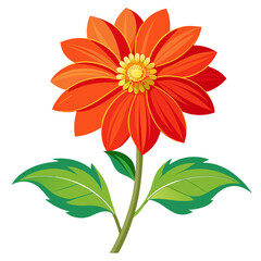 Mexican Sunflower (Tithonia diversifolia) flower vector art
