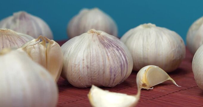 Garlic rotates on blue background. Garlic - vegetable with many beneficial properties for health. Garlic, Allium sativum, species of bulbous flowering plants in genus Allium