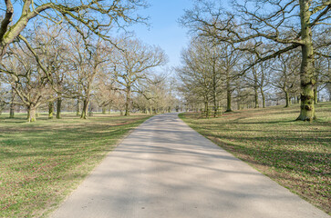 Pathway in a park in springtime