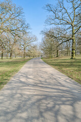 Pathway in a park in springtime
