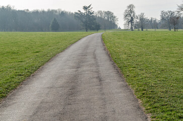 Pathway in a park in springtime