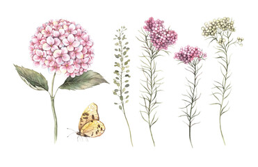 Pink hydrangea, small ozosamun flowers, field plants, and a yellow butterfly. A set of watercolor illustrations with flowers is suitable for floral design, weddings, birthdays, and invitations.