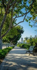 Capitol building view, tree-lined path, sunny day, park bench, peaceful scene, tourism