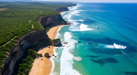 Spectacular aerial view of a rugged coastline with lush green forest meeting a sandy beach and turquoise ocean waves crashing ashore