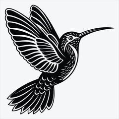 Obraz premium Hummingbird line art White background illustration Generative Ai