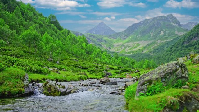 Summer landscape in the mountains. The flow of a mountain river. High quality 4k footage