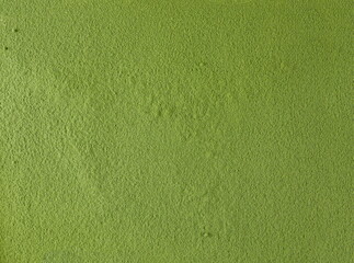 Fototapeta premium Young barley or wheat grass, green powder background and texture