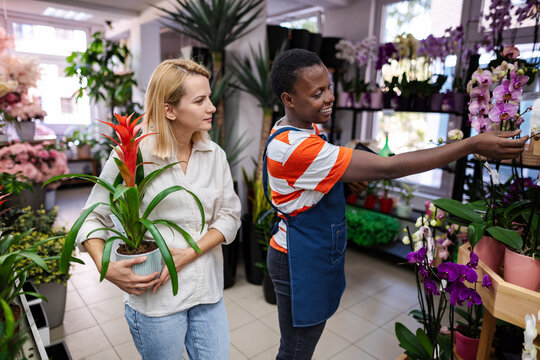 Florist showing potted plants to customer in flower shop