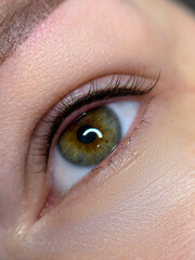 permanent eyeliner makeup close up. Healthy and clean skin young woman	
