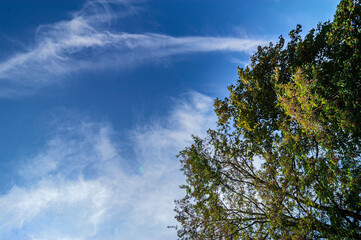 Eiswolken an einem blauen Himmel
