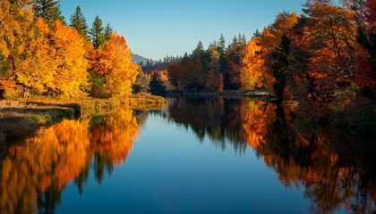 Fototapeta premium golden autumn trees reflected in calm river