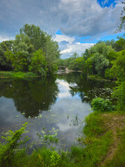 Obraz premium Panorama of a river surrounded by green trees on a cloudy day