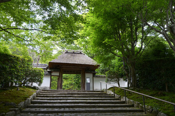 Fototapeta premium 新緑の安楽寺 山門 京都市左京区鹿ケ谷