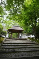 Obraz premium 新緑の安楽寺 山門 京都市左京区鹿ケ谷