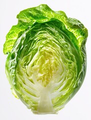 Halved Savoy Cabbage, Studio Shot, White Background, Fresh Produce, Recipe Ingredient