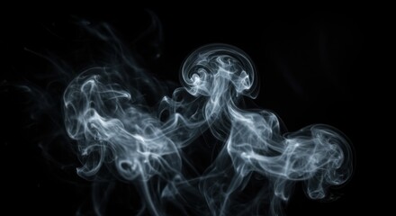 Abstract White Smoke Swirls on a Black Background