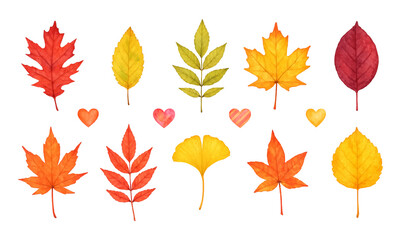 Watercolor leaves autumn set, colorful fall tree foliage and hearts, collection of traced vector