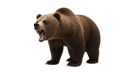 Fototapeta premium Brown bear roaring aggressive animal wildlife predator dangerous mammal angry grizzly bear isolated image on transparent background