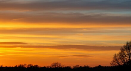 Fototapeta premium Dramatic Winter Sunset Sky with a Tree Silhouette