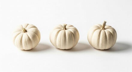 Obraz premium Elegant trio of pristine white pumpkins arranged against a luminous blank backdrop