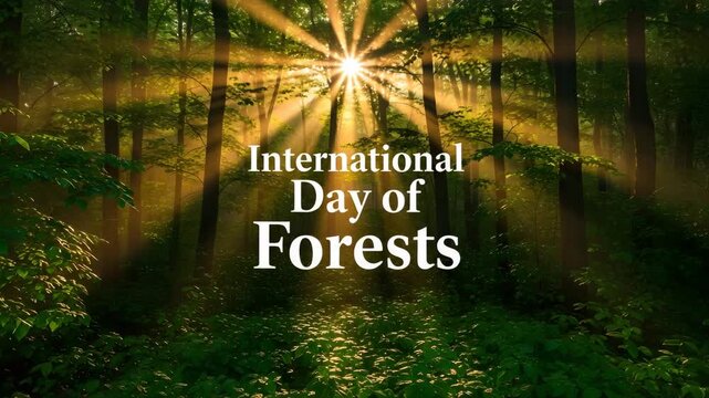 Sunlight Streaming Through Forest Trees for International Day of Forests Awareness, Environmental Blogs, Nature Conservation, Educational Campaigns, and Content Creation - Powered by Adobe