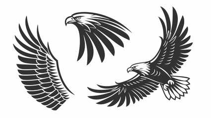Obraz premium Eagle flying majestic bird head powerful wings set symbol freedom strength power wildlife animal design concept illustration