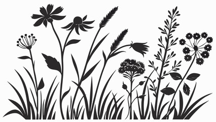Naklejka premium Wildflowers and grass silhouettes. Black and white floral plants. Nature meadow field garden background design elements.