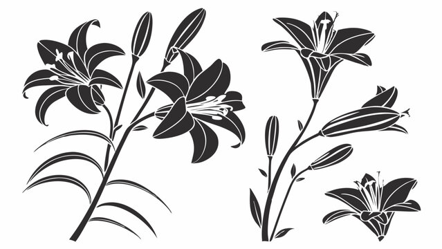 Elegant black and white lily flower silhouettes vector graphic illustration set. Botanical floral design elements for nature projects.