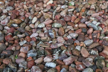Garden Stones with Small Leaf and Plant Growth