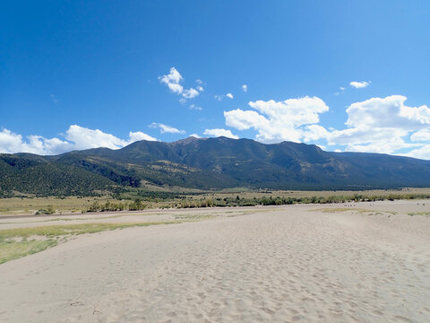 Dunes and Forested Foothills at Great Sand Dunes National Park