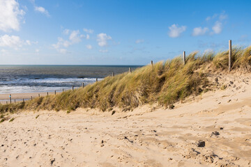 Dune of Egmond aan Zee