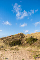 Dune of Egmond aan Zee