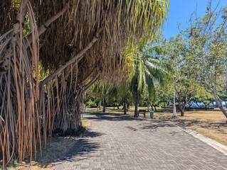Jardin de Paofai, tahiti, Papeete