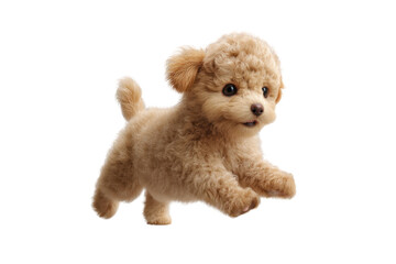 Cute puppy in running pose transparent background