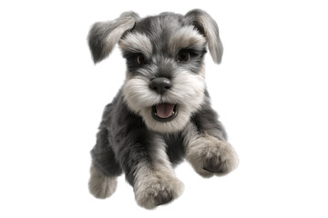 Cute puppy in running pose transparent background