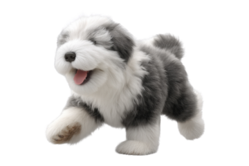 Cute puppy in running pose transparent background