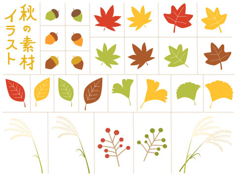 カラフルな秋の紅葉素材のセット
