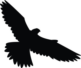 Obraz premium Flying Amur falcon bird Silhouette Design And Vector Illustration. 