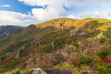 日本の風景・秋　香川県小豆島　紅葉の寒霞渓