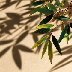 Obraz premium Green Leaves and Shadows on Beige Background