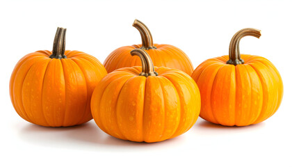 Obraz premium Collection of Bright Orange Pumpkins with Water Droplets on a White Background